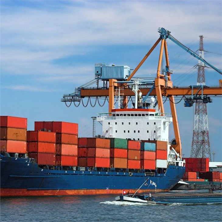 Ocean Freight Logistics Company